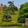 Lancelot "Capability" Brown ou la révolution dans les jardins anglais